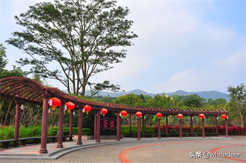 随拍公园 - 东莞大屏嶂森林公园