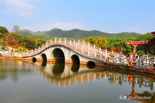 随拍公园 - 东莞大屏嶂森林公园