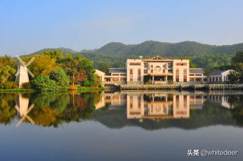 随拍公园 - 东莞大屏嶂森林公园