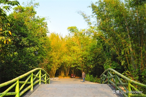 随拍公园 - 东莞大屏嶂森林公园