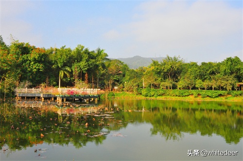 随拍公园 - 东莞大屏嶂森林公园