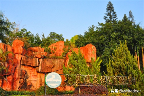 随拍公园 - 东莞大屏嶂森林公园