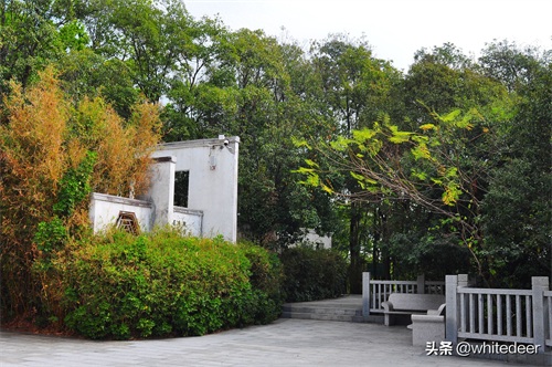 随拍公园 - 东莞大屏嶂森林公园