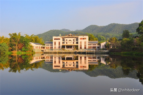 随拍公园 - 东莞大屏嶂森林公园