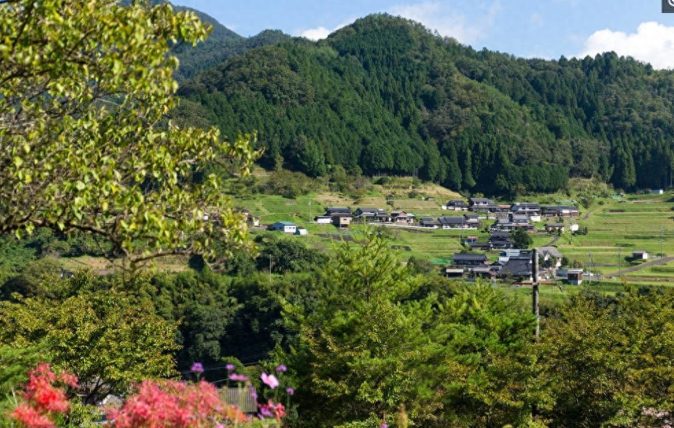 对比中国的农村，再看看日本的农村，差距真的太大了