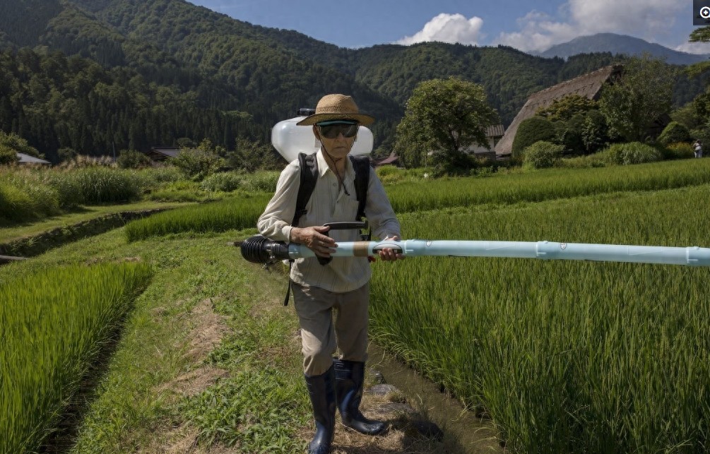 对比中国的农村，再看看日本的农村，差距真的太大了