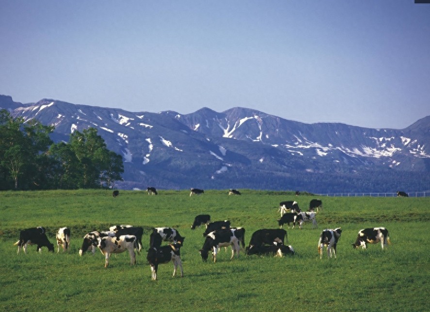 对比中国的农村，再看看日本的农村，差距真的太大了