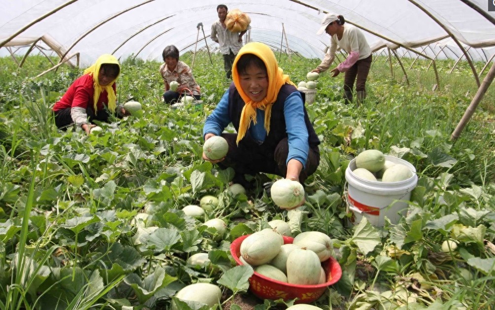 对比中国的农村，再看看日本的农村，差距真的太大了