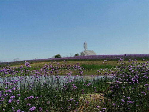 成都周边新晋网红打卡地-无影教堂