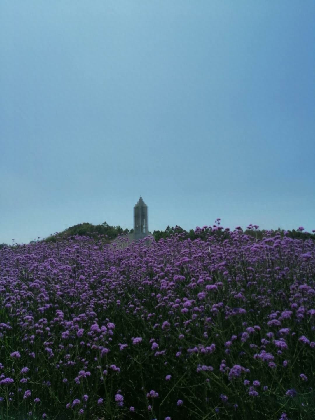成都周边新晋网红打卡地-无影教堂