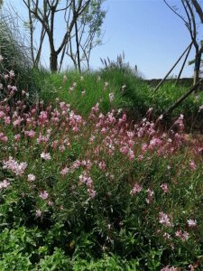 ​成都周边新晋网红打卡地-无影教堂