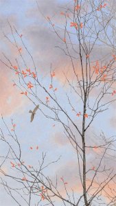 ​有哪些惊艳到你的民国情话，温柔动听，快来选一句送给你心中的他