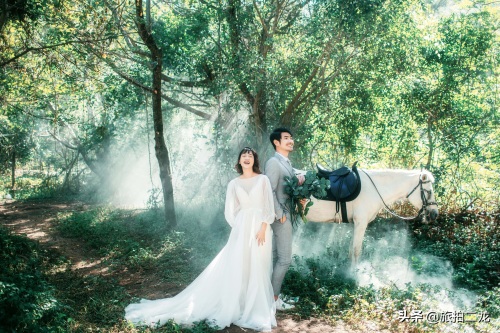 网红森系婚纱照,让你婚照独一无二