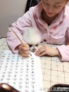 ​潘晓婷罕见晒美照秀“恩爱”，九球天后最爱它，单身女王不孤单