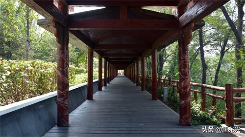 魅力辽宁 | 在营口东站候车，欣赏站前公园风景