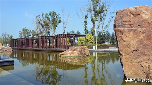 魅力辽宁 | 在营口东站候车，欣赏站前公园风景