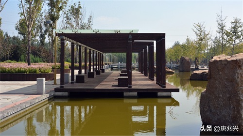 魅力辽宁 | 在营口东站候车，欣赏站前公园风景