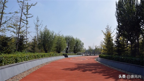 魅力辽宁 | 在营口东站候车，欣赏站前公园风景