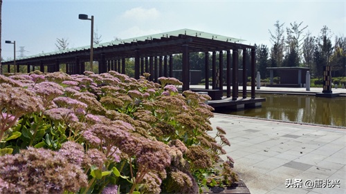 魅力辽宁 | 在营口东站候车，欣赏站前公园风景