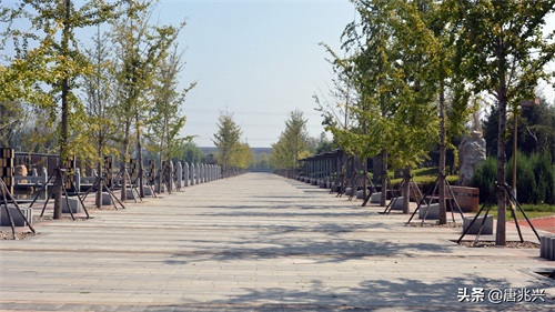 魅力辽宁 | 在营口东站候车，欣赏站前公园风景