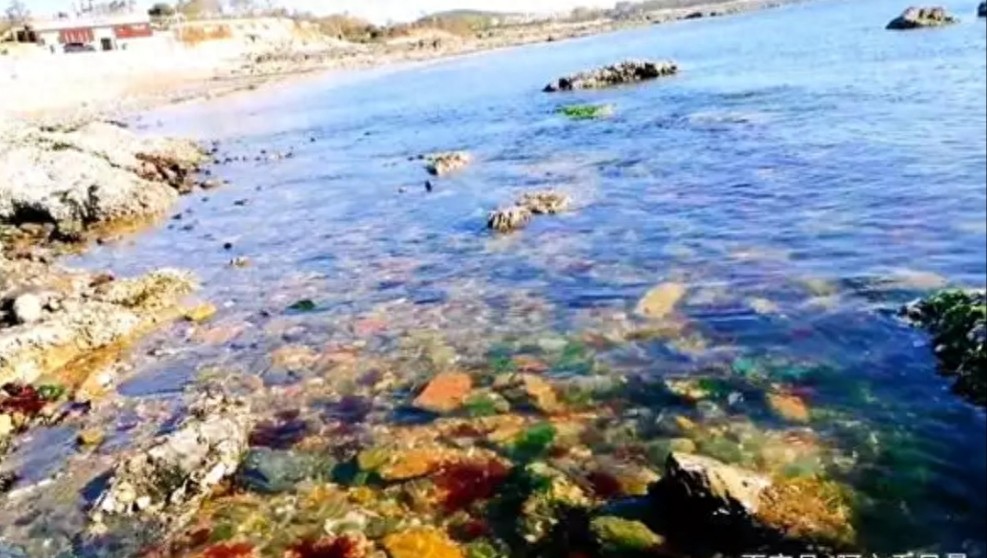 大连金石滩之观海篇，蓝宝石样的海水，金色的沙滩，好美