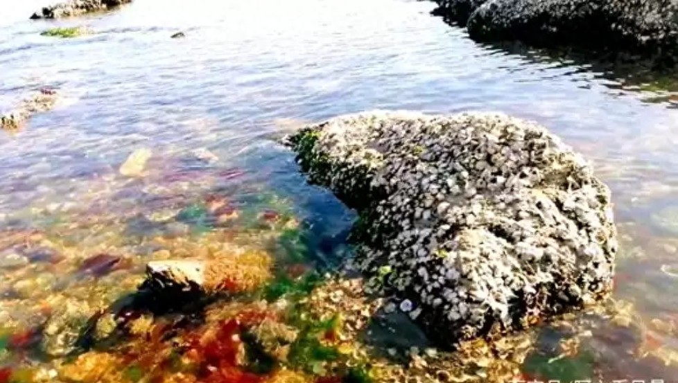 大连金石滩之观海篇，蓝宝石样的海水，金色的沙滩，好美