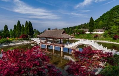 ​六盘水：盘县最美的旅游景点—玉舍国家森林公园