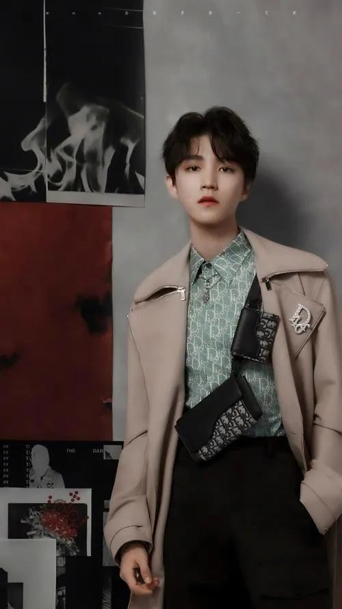 男明星人气排行榜（中国内地男明星人气top10）