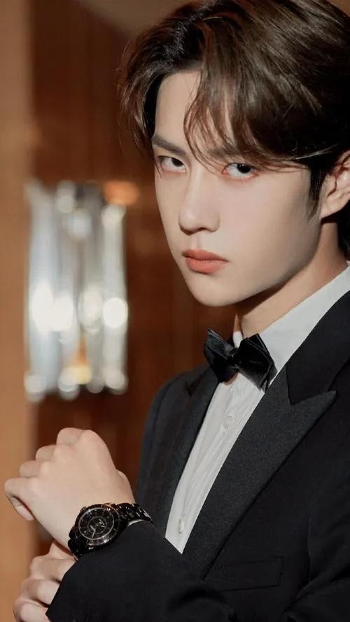 男明星人气排行榜（中国内地男明星人气top10）