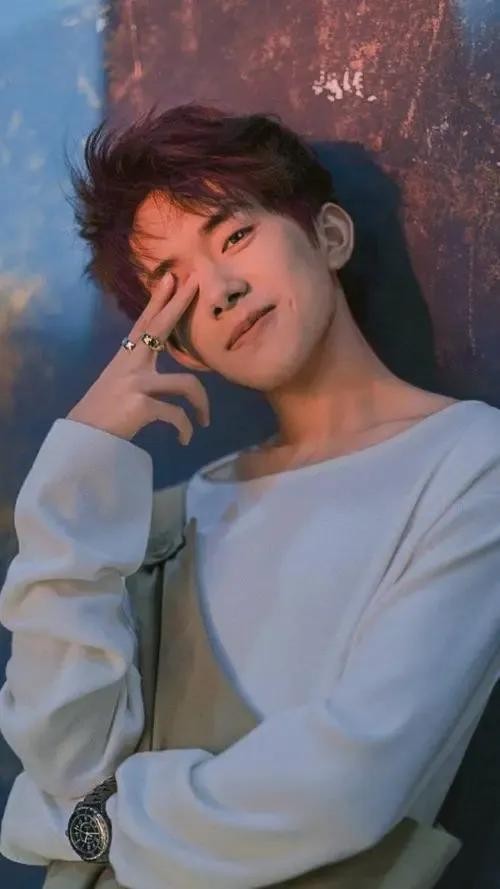 男明星人气排行榜（中国内地男明星人气top10）