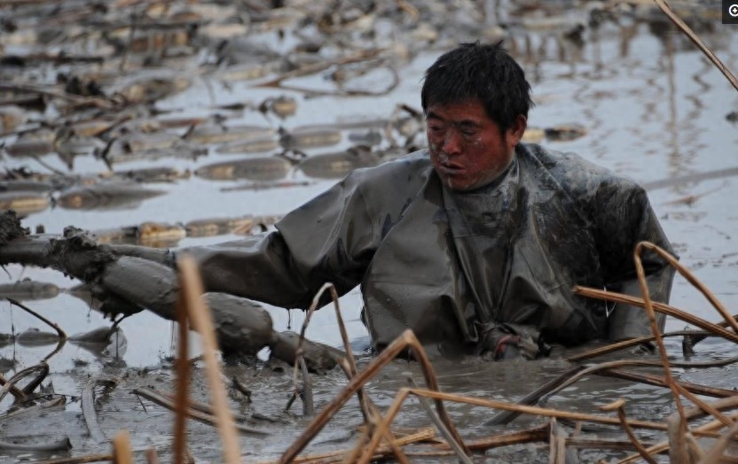 普通人无奈的10个场景，真实生活大抵如此，看看哪张图让你泪目