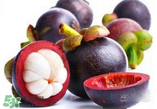 山竹可以放冰箱吗?山竹冰箱可以放几天? 山竹可以放冰箱吗?山竹冰箱可以放几天?