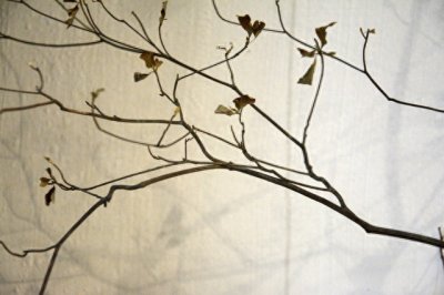 ​真正成功的人，往往都懂得细节决定成败