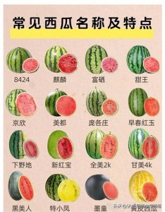 ​西瓜知多少，你都吃过哪些西瓜！你知道西瓜名字和产地嘛