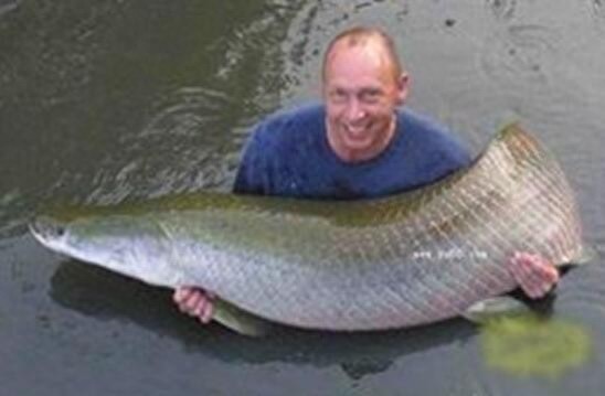 会咳嗽的巨骨舌鱼，凶猛狠毒爱吃人舌头上都有牙齿