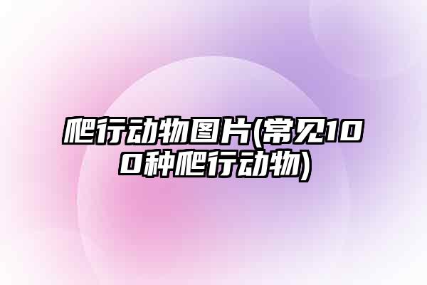 爬行动物图片(常见100种爬行动物)