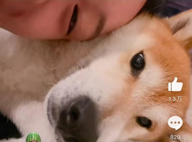 郑爽在美生活现状(郑爽的日子依然让人羡慕)