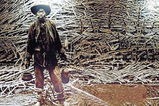 契约华工制度是怎样的?