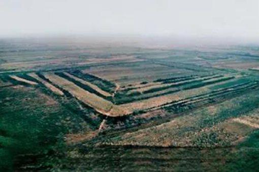 沙丘宫变为何没人来救 揭秘赵武灵王怎么死的