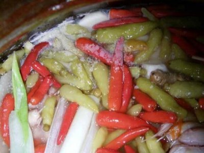 ​快速去除泡菜白花(快速去除泡菜白花用小苏打)