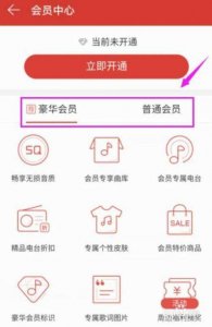 ​开通会员(开通会员的网贷真的能贷到钱吗)