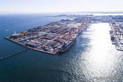 ​哈马德是哪个国家(哈马德是哪个国家的港口)