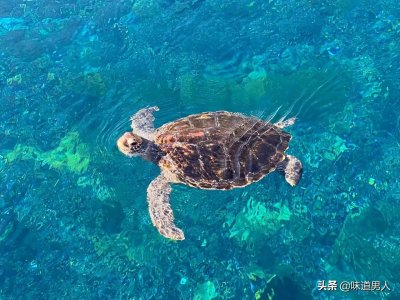 人生无常的意思解释（德者敬之，俗者惧之，谋者悔之而已）