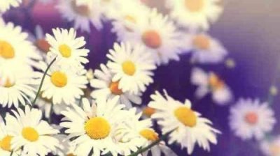 ​七情六欲指的是什么？“七情”和“六欲”分别代表什么？