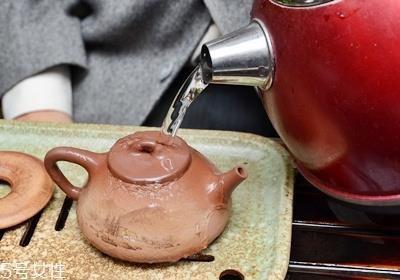 茶壶怎么养及挑选 茶壶怎么养及挑选