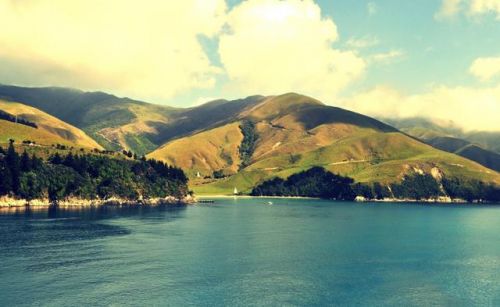 新西兰国家概况介绍(新西兰国家概况英文)-第1张图片-