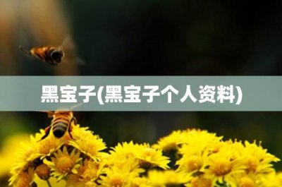 ​黑宝子(黑宝子个人资料)