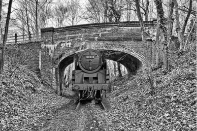 ​果戈里幽灵火车是什么？俄罗斯历史上的诡异事件_果戈里三部曲