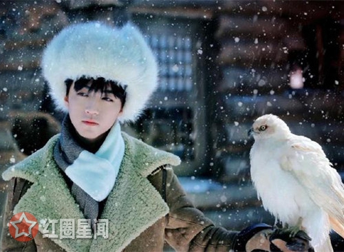 天坑鹰猎张保庆养的白鹰是什么品种 张保庆喜提鹰蛋当奶爸