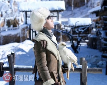 ​天坑鹰猎张保庆养的白鹰是什么品种张保庆喜提鹰蛋当奶爸